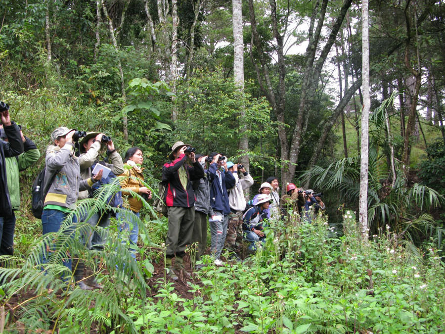 Du khách chiêm ngưỡng sự đa dạng sinh học tại Vườn Quốc gia Bidoup - Núi Bà.