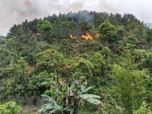 Hiện trường vụ rơi máy bay của hãng hàng không China Eastern Airlines ở Quảng Tây, Trung Quốc, ngày 21/3/2022. (Ảnh: THX/TTXVN)
