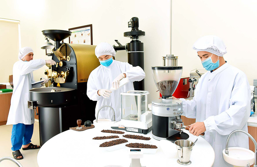 Quy trình sản xuất cà phê L'amant tại Công ty TNHH Vĩnh Hiệp. Ảnh: Đức Thụy