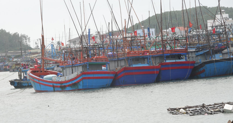 Tại Cảng Sa Huỳnh, tàu cá nằm bờ san sát cả trăm chiếc. Ảnh: Phạm Anh