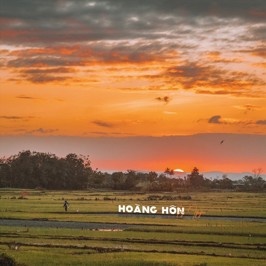 Vẻ đẹp của Tây Nguyên đôi khi là những điều giản dị hằng ngày như ra đồng.