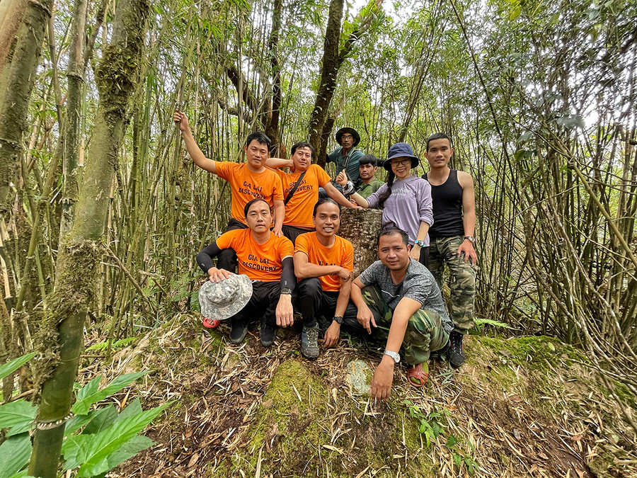 Đỉnh Kon Ka Kinh bạt ngàn trúc phủ rêu xanh mịn. Ảnh: Hoàng Ngọc