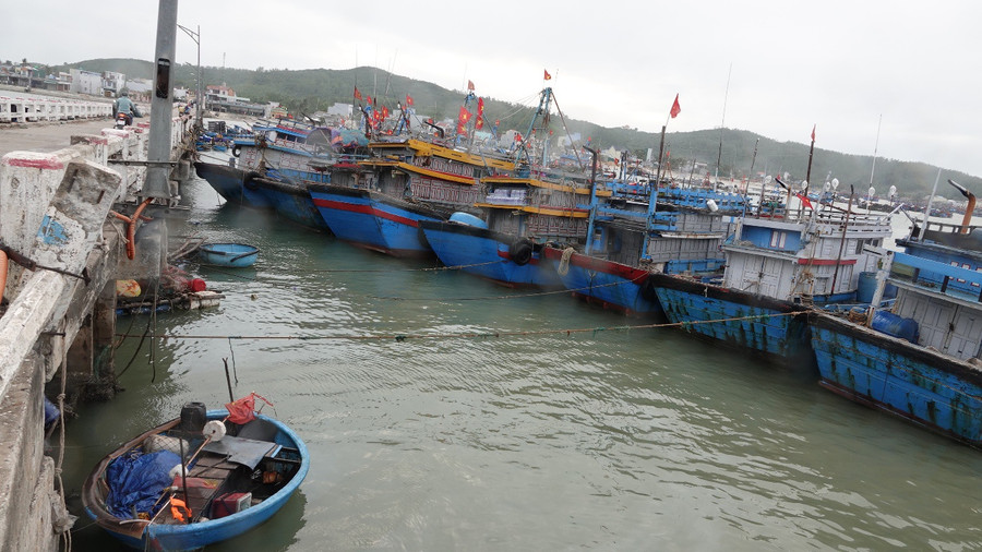 Rất nhiều tàu cá nằm im lìm trong cảng. Ảnh: Phạm Anh