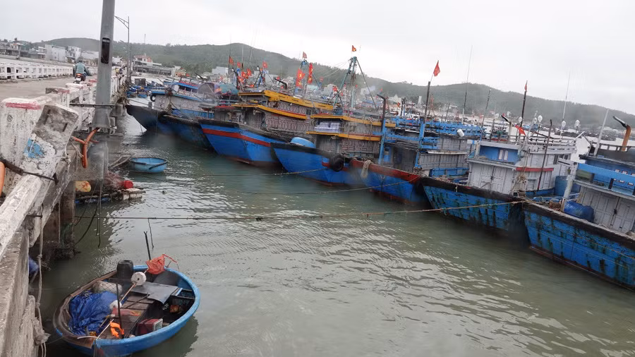 Rất nhiều tàu cá nằm im lìm trong cảng. Ảnh: Phạm Anh