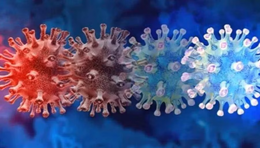 Nguy cơ tái nhiễm với biến thể Omicron cao gấp 5,4 lần so với biến thể Delta. Ảnh: Shutterstock