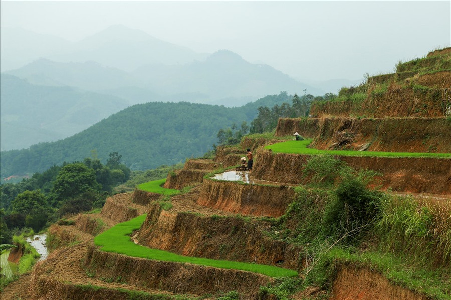 Một vài thửa ruộng phải đợi sau cơn mưa mới bắt đầu có nước để cày bừa Một vài thửa ruộng phải đợi sau cơn mưa mới bắt đầu có nước để cày bừa