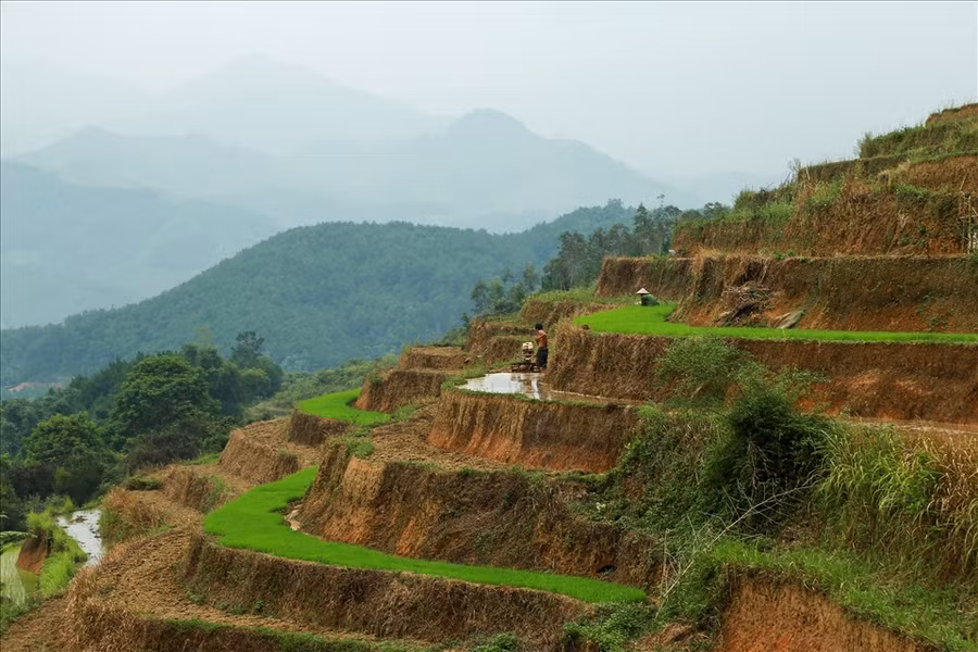 Một vài thửa ruộng phải đợi sau cơn mưa mới bắt đầu có nước để cày bừa 