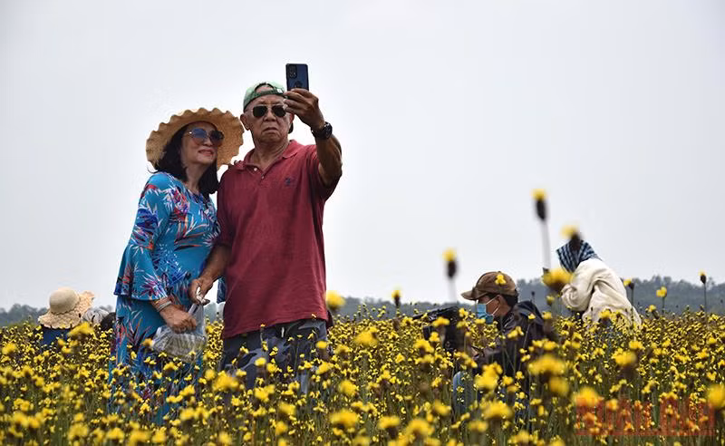 Du khách tham quan hoàng đầu ấn.