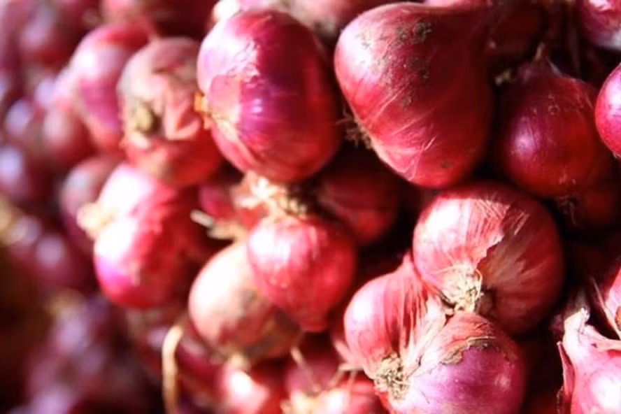 Ngoài gia vị, củ hành còn là một loại dược liệu có lợi cho sức khoẻ. Ảnh: Từ Ân