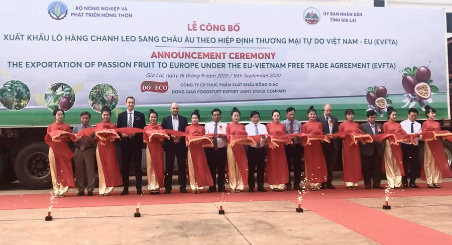 Doveco Gia Lai xuất khẩu lô chanh dây đầu tiên sang Hà Lan.jpg