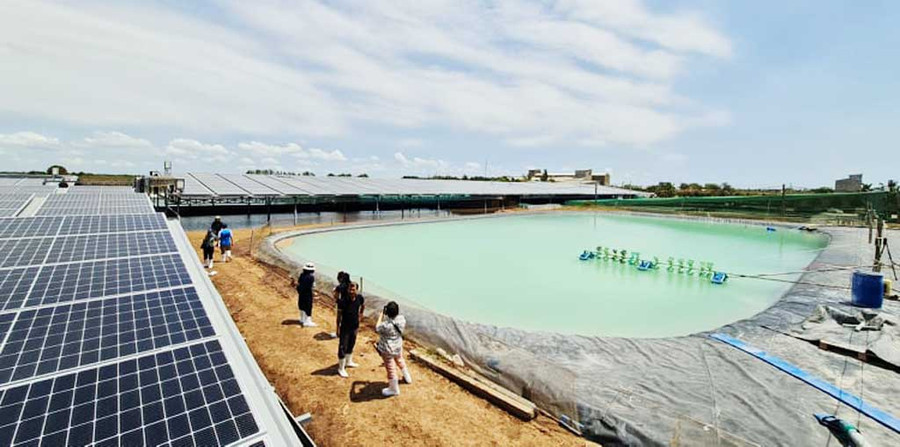 Mô hình áp dụng điện năng lượng mặt trời trên các ao lắng tại hộ ông L.V.N (Bạc Liêu)