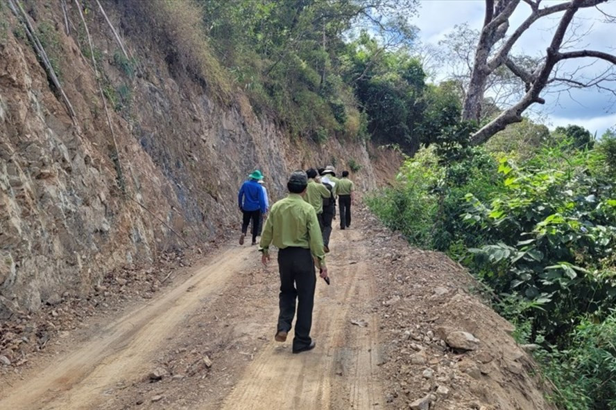 Cận cảnh hiện trường hủy hoại rừng đặc dụng làm đường Trường Sơn Đông đoạn qua tỉnh Lâm Đồng.
