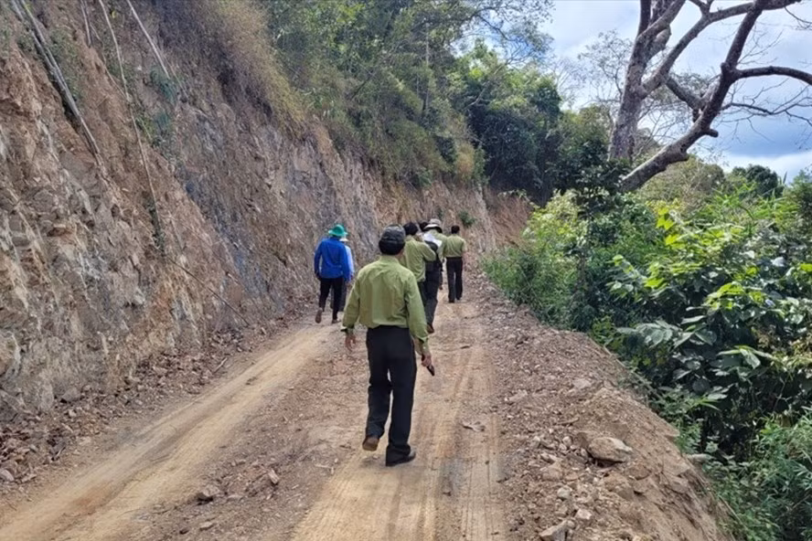 Cận cảnh hiện trường hủy hoại rừng đặc dụng làm đường Trường Sơn Đông đoạn qua tỉnh Lâm Đồng.