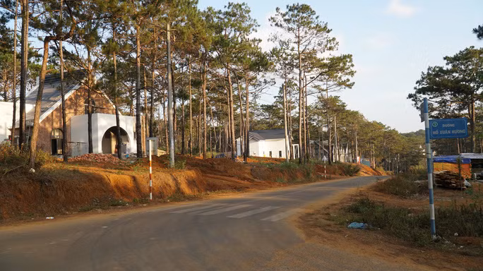 Chủ tịch UBND huyện Kon Plông đã ký cấp 5 lô đất tại khu biệt thự mà không thông qua đấu giá