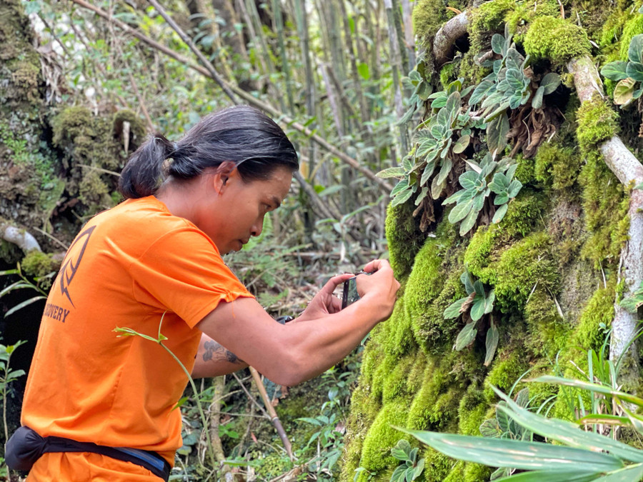 Thảm thực vật vô cùng phong phú 