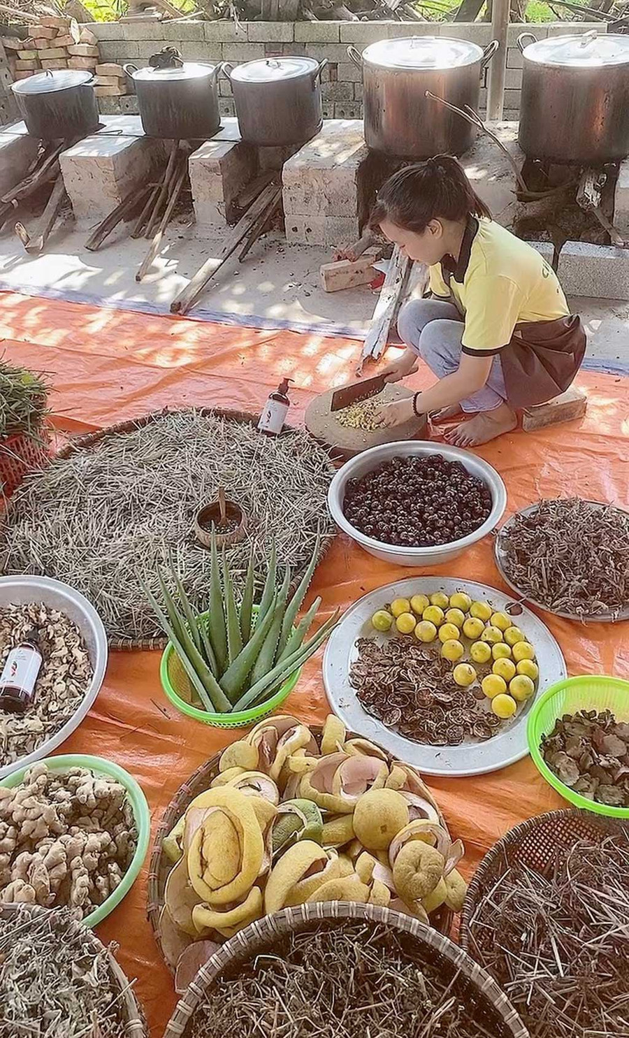 Từ công việc văn phòng, Châm về dang nắng dầm sương thu hái cây cỏ, thảo dược mọc hoang dại để khởi nghiệp với dự án dầu gội thảo dược