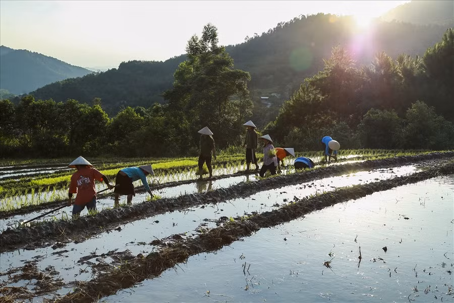 Nằm cách thành phố Hà Nội khoảng 300 km, Bình Liêu được biết đến là một điểm đến du lịch hấp dẫn với những cánh đồng lau trắng ngút ngàn hay cung đường tuần tra biên giới và những cột mốc thiêng liêng của Tổ quốc. Vào dịp cuối tháng 3, tháng 4, đến với Bình Liêu, bạn sẽ được ngắm nhìn những thửa ruộng bậc thang uốn lượn trải dài trên các sườn núi, tiếng máy cày, những tiếng gọi nhau cùng lên ruộng sớm hay những câu hát vang vọng núi rừng trong lúc làm việc của các cô gái Sán Chỉ, như tiếp thêm sức lực, quên đi cái mệt mỏi của ngày mùa.