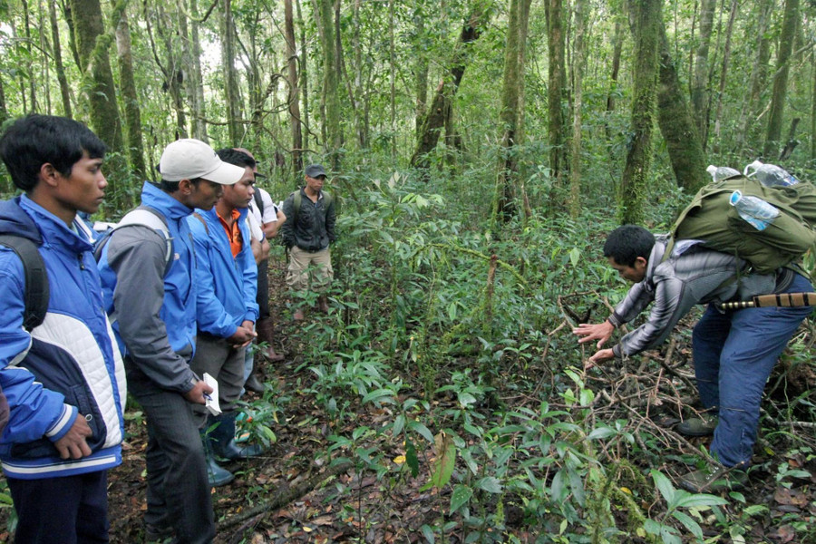  Hướng dẫn viên Vườn Quốc gia Bidoup - Núi Bà giới thiệu một số loài thực vật đặc hữu.