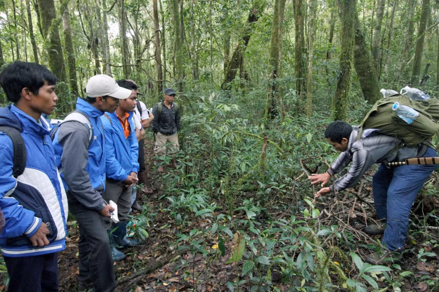  Hướng dẫn viên Vườn Quốc gia Bidoup - Núi Bà giới thiệu một số loài thực vật đặc hữu.