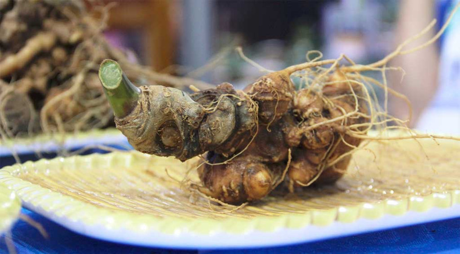 Củ sâm Ngọc Linh được bày bán tại phiên chợ sâm hằng tháng tại H.Nam Trà My. Ảnh: Mạnh Cường