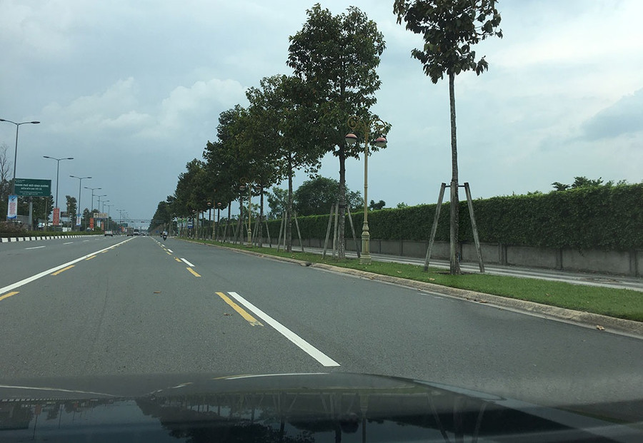  Một góc khu đất vàng 145 ha. Ảnh: NHật Mai