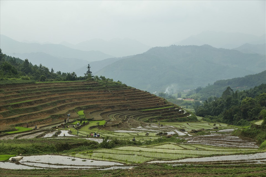 Một khu ruộng bậc thang ở bản Cao Thắng, xã Lục Hồn, huyện Bình Liêu được UBND tỉnh Quảng Ninh công nhận ruộng bậc thang là Di tích - danh thắng cấp tỉnh. Một khu ruộng bậc thang ở bản Cao Thắng, xã Lục Hồn, huyện Bình Liêu được UBND tỉnh Quảng Ninh công nhận ruộng bậc thang là Di tích - danh thắng cấp tỉnh.
