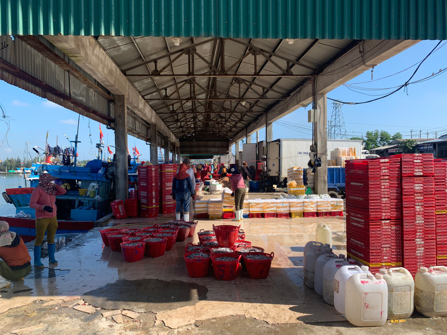 Cảng cá kém phần nhộn nhịp. Ảnh: Phạm Anh