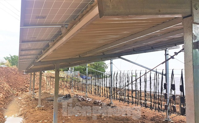 Theo kết luận của Bộ Công thương, các chủ đầu tư ĐMTMN chỉ quan tâm đến việc bán điện