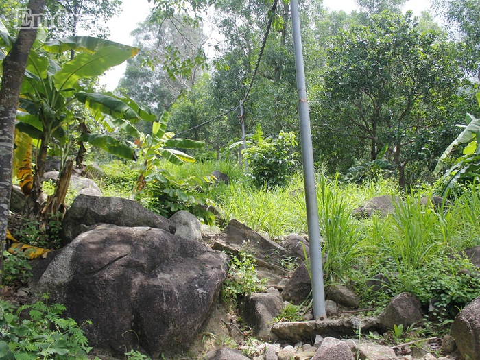 Khởi đầu hành trình từ 1 giờ trưa là đẹp nhất. Khởi đầu hành trình từ 1 giờ trưa là đẹp nhất.