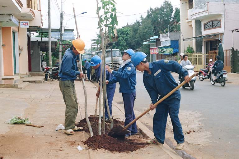Trồng cây xanh bóng mát trong đô thị Pleiku. Ảnh: T.N