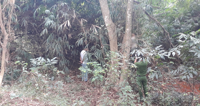 Nam thanh niên chết trong tư thế treo cổ trong lùm cây. Nam thanh niên chết trong tư thế treo cổ trong lùm cây.