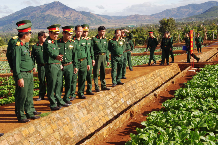 Các đại biểu tham quan vườn rau tăng gia tập trung tại Trung đoàn BBCG 48, Sư đoàn 320. Ảnh: V.D.H Các đại biểu tham quan vườn rau tăng gia tập trung tại Trung đoàn BBCG 48, Sư đoàn 320. Ảnh: V.D.H