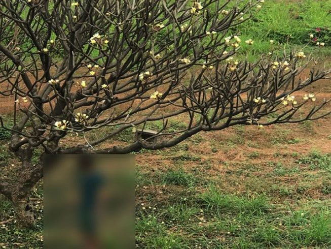 Hiện trường phát hiện thi thể người đàn ông chết trong tư thế treo cổ trên cành hoa bên đường.