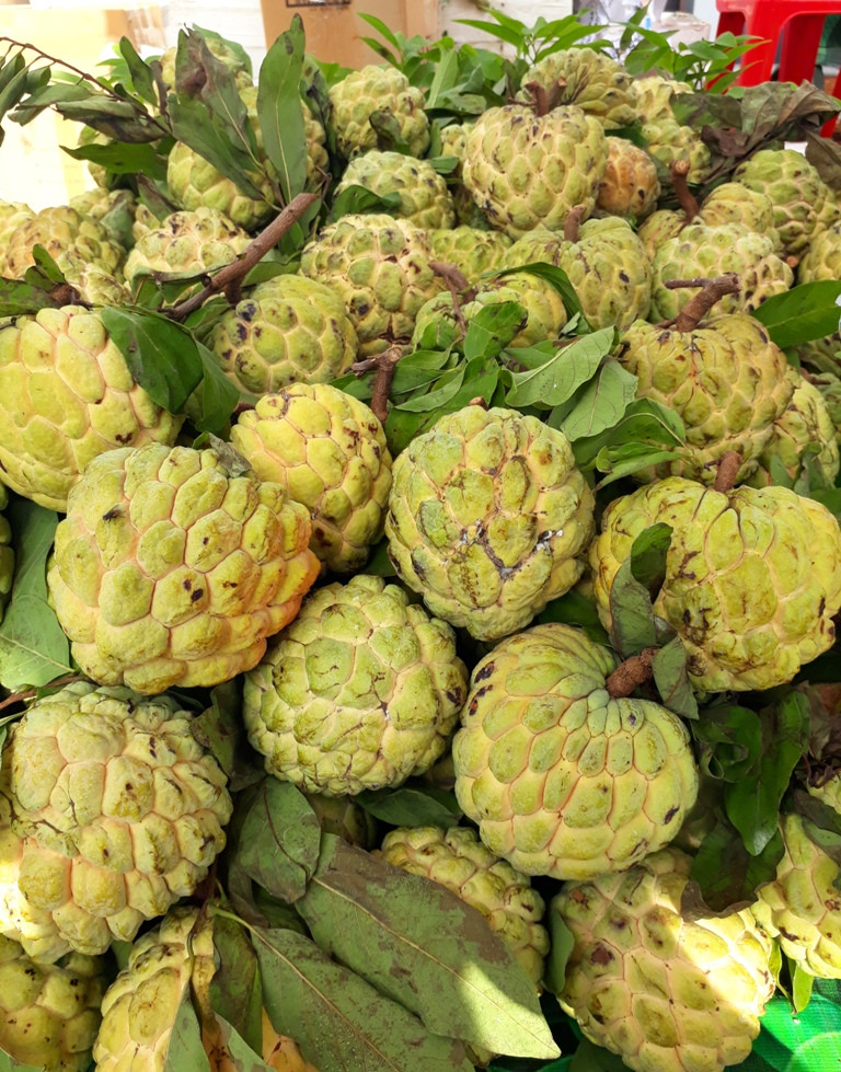 Na dai ở đây được người tiêu dùng ưa chuộng hơn. Ảnh: Q.T Na dai ở đây được người tiêu dùng ưa chuộng hơn. Ảnh: Q.T