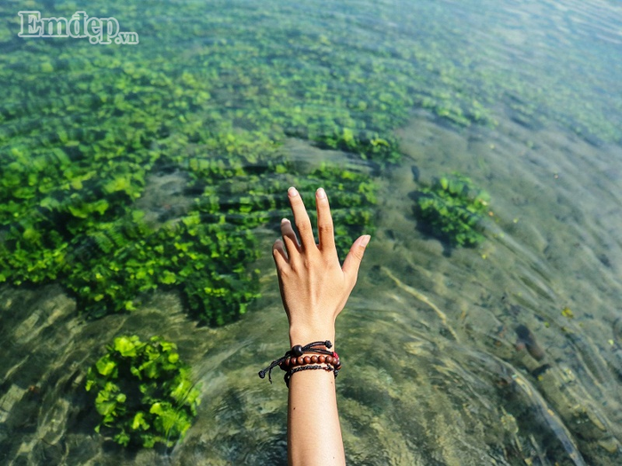 Đỉnh núi chủ yếu chỉ toàn cỏ cây xanh mướt mát mắt. Đỉnh núi chủ yếu chỉ toàn cỏ cây xanh mướt mát mắt.