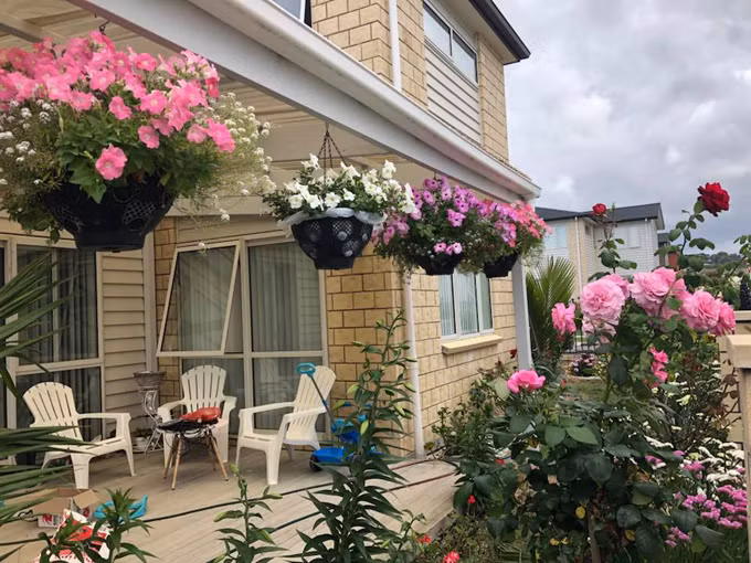 Chị trồng rất nhiều loại hoa, chủ yếu là hoa hồng, cẩm tú cầu, cẩm chướng, thược dược; các loại mọc từ củ như ly, lay ơn, lan Nam Phi, tulip hay loại theo mùa: phong lữ, dạ yến thảo, ngàn sao... Trước khi trồng, chị Mơ tìm hiểu kỹ về đặc tính của cây để biết cách phát triển chúng tốt nhất. Chị lên mạng tìm kiếm thông tin về cách chăm sóc và đọc hướng dẫn của từng loại hoa.