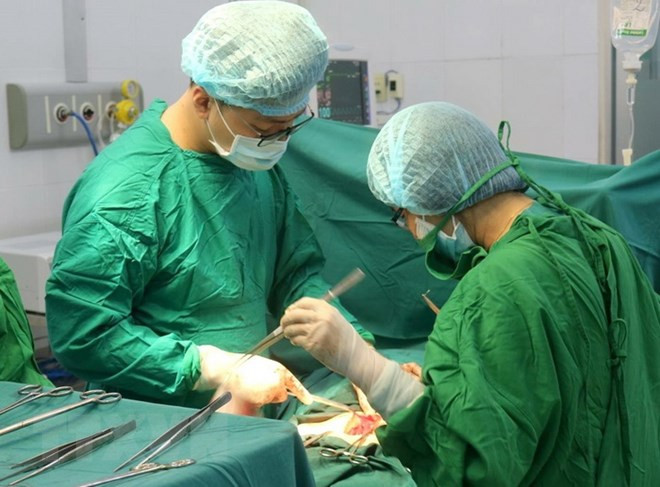 Ảnh minh họa Ảnh minh họa