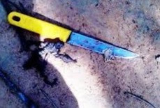 Ảnh minh họa Ảnh minh họa