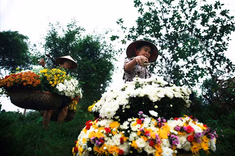 Ảnh minh họa (nguồn: internet)