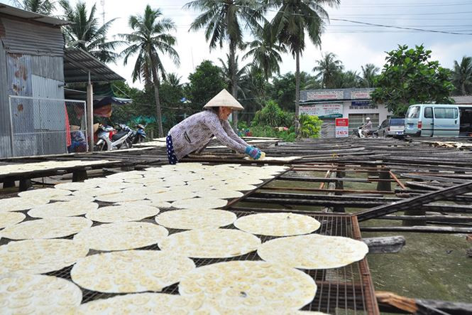 Người dân phơi bánh ở làng nghề bánh phồng Sơn Đốc (Giồng Trôm, Bến Tre). Người dân phơi bánh ở làng nghề bánh phồng Sơn Đốc (Giồng Trôm, Bến Tre).