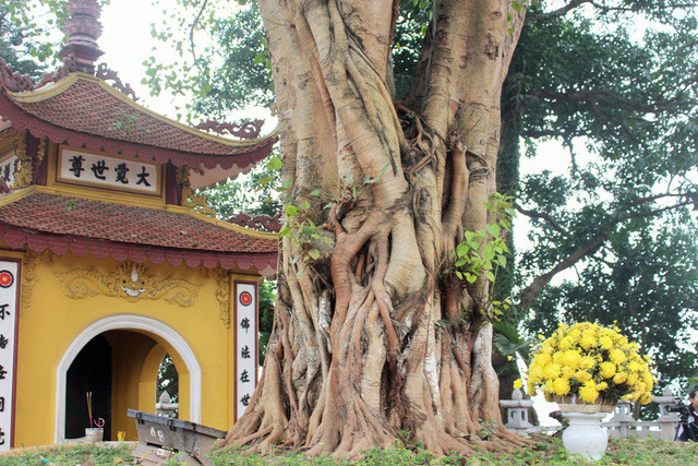 Ngôi chùa mang đậm kiến trúc Á Đông này sẽ là nơi giao hòa giữa thiên nhiên và con người. Dạo bước giữa không gian trong lành thoang thoảng hương nhang trầm phảng phất, du khách sẽ vừa có cảm xúc lâng lâng, bay bổng, vừa tự hào về lịch sử dân tộc. Thêm vào đó là sự thanh tịnh, nhẹ nhõm trong tâm hồn khó có thể tìm thấy ở nơi nào khác.