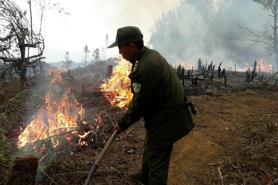 Mở đường băng cản lửa, chống cháy rừng ở Mù Căng Chải.