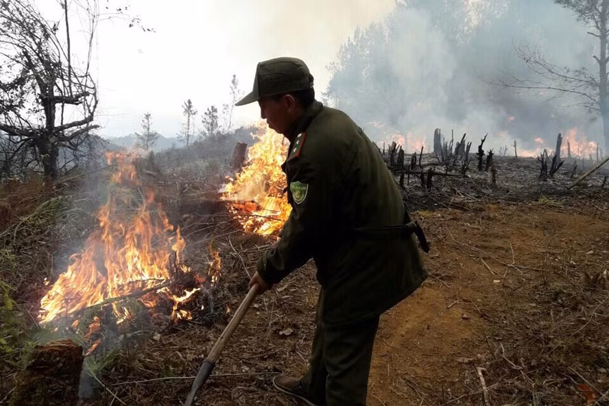 Mở đường băng cản lửa, chống cháy rừng ở Mù Căng Chải.