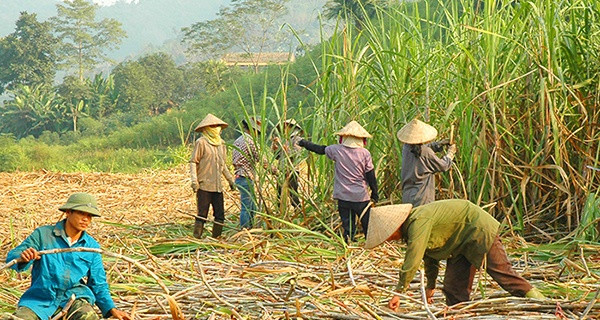 Ảnh internet Ảnh internet