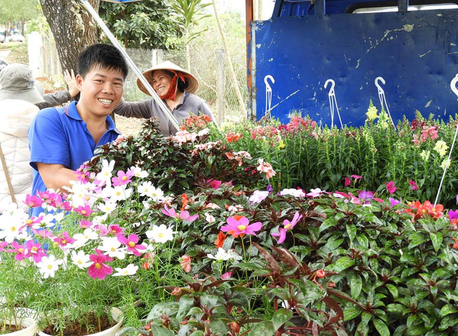 Các loại hoa treo nhỏ gọn có đang được nhiều người chọn dùng. 