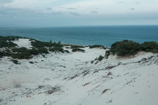 (Ảnh: Hồ Trần)