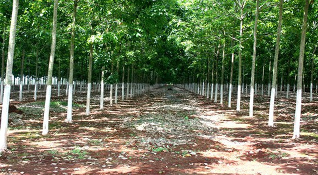 Khu vực xảy ra vụ án mạng. Khu vực xảy ra vụ án mạng.