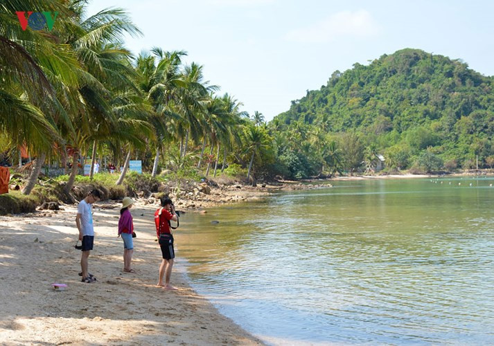  Du khách ghi lại những hình ảnh đẹp.
