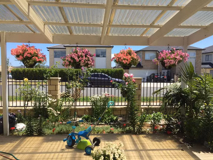 Vị trí trồng cho từng loại cây cũng quan trọng vì có cây ưa nắng, cây lại ưa bóng mát. Nhờ cắt tỉa hoa tàn thường xuyên nên cây nhà chị Mơ cho hoa liên tục. Nếu không cắt hoa tàn, cây sẽ tạo hạt và không ra hoa nữa. Trong vườn có nhiều hoa nên chị Mơ thường cắt vào nhà cắm và tặng bạn bè những dịp đặc biệt.