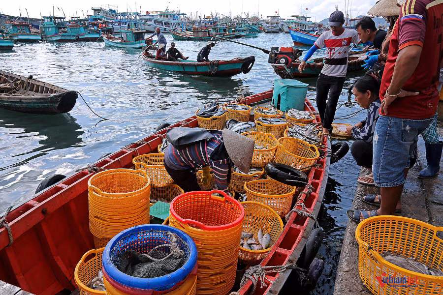 Đến với nam Phú Quốc không thể bỏ qua cảng cá An Thới nằm ở thị trấn An Thới. Đây cũng là cảng biển lớn nhất quần đảo Phú Quốc, là bến đỗ cho các tàu đánh bắt xa bờ và khách du lịch theo các tour lặn ngắm san hô, tour Phú Quốc câu cá, câu mực đêm mỗi ngày.